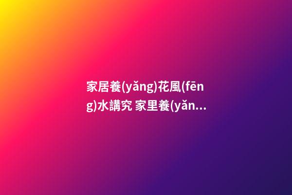 家居養(yǎng)花風(fēng)水講究 家里養(yǎng)幾盆花會(huì)比較好